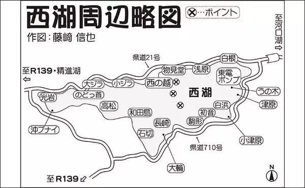 「解禁直後の西湖でヒメマス30尾にワカサギ72尾　正確なタナ取りが重要？」の画像