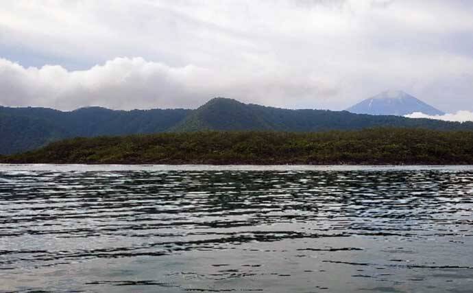 解禁直後の西湖でヒメマス30尾にワカサギ72尾　正確なタナ取りが重要？