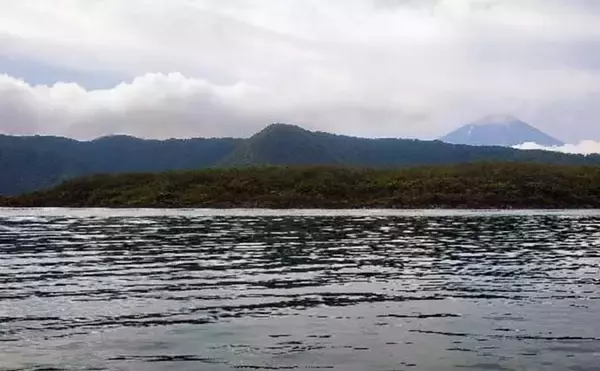 「解禁直後の西湖でヒメマス30尾にワカサギ72尾　正確なタナ取りが重要？」の画像