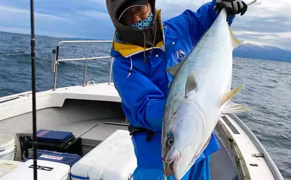 冬の東北『ブリジギング』キホン解説　メインシーズンと代表的エリア