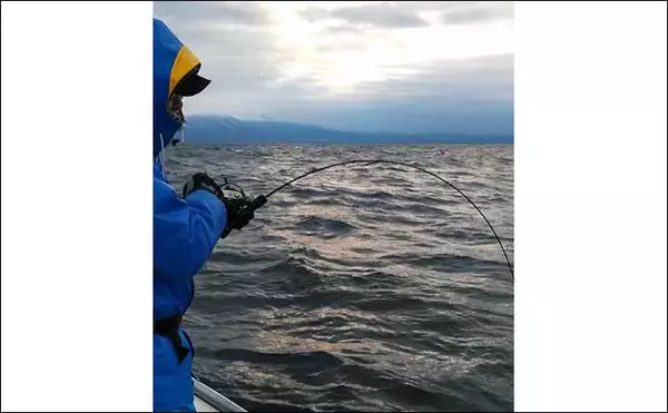 「冬の東北『ブリジギング』キホン解説　メインシーズンと代表的エリア」の画像