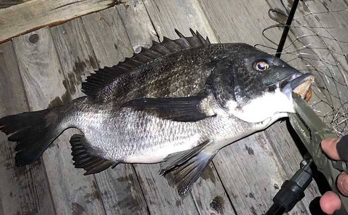 スーパーライトショアジギング入門解説　必携「釣行アイテム」5選