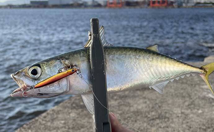 スーパーライトショアジギング入門解説　必携「釣行アイテム」5選