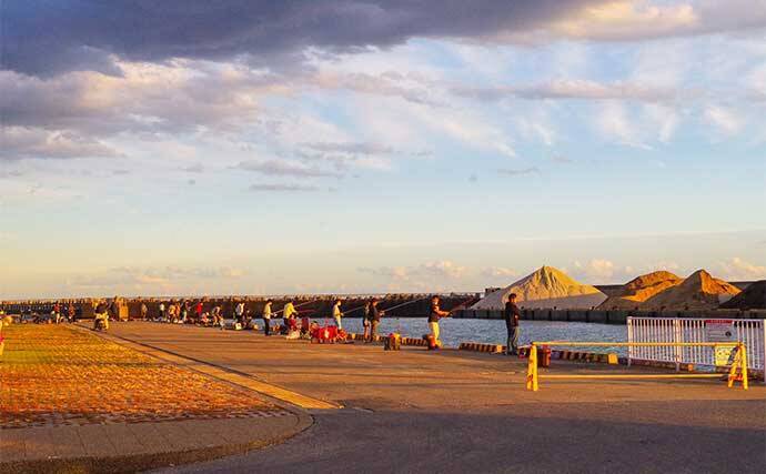 西湘サーフでカマス釣りが開幕　地元釣具店に聞く「投げサビキ」のキモ