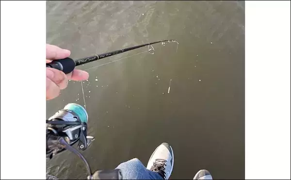 「『スーパーライトショアジギング』超入門　長いロッドの長所短所は？」の画像