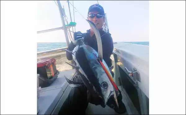 「【愛知・三重】沖のルアー最新釣果　ティップランで良型アオリイカ顔出し」の画像