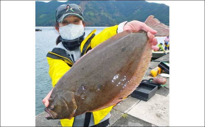 【愛知・三重】沖のルアー最新釣果　ティップランで良型アオリイカ顔出し