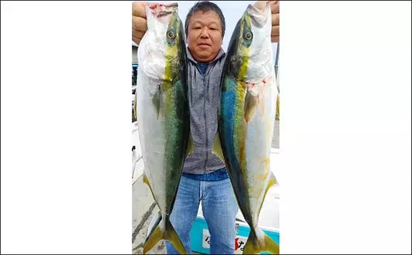 「【愛知・三重】沖のルアー最新釣果　ティップランで良型アオリイカ顔出し」の画像