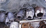 「廃棄物による海洋汚染「ゴーストフィッシング」問題　国連でも対策の動き」の画像1