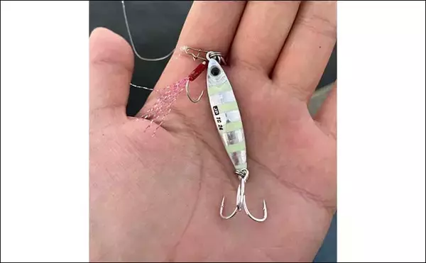 「『スーパーライトショアジギング』超入門　最重要の「着底の感じ方」」の画像