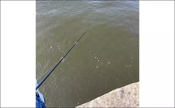 「『スーパーライトショアジギング』超入門　最重要の「着底の感じ方」」の画像