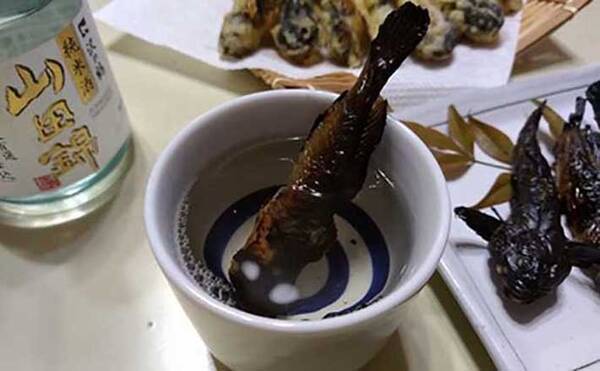 川のハゼ こと カジカ 料理のススメ 見た目グロテスクだが味は絶品 21年11月13日 エキサイトニュース