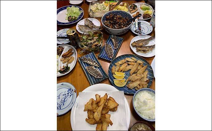 親族三世代で楽しむコマセ五目釣り　お魚パーティ食材を見事に確保