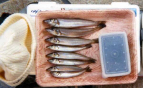 Oduvfvsrnazk M Oduvfvsrnazk M