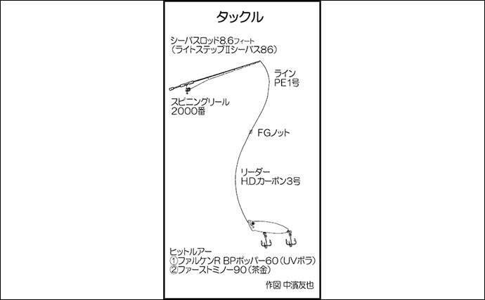 中海での陸っぱりシーバスゲームで40cm級 ポッパー ミノーでキャッチ 21年11月23日 エキサイトニュース