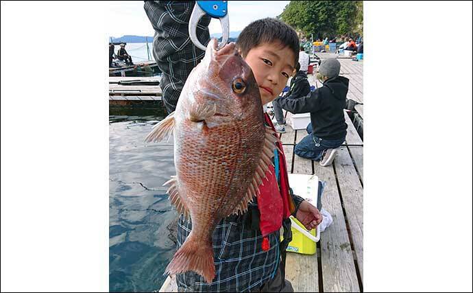 貸し切り「海上釣り堀」を仲間と満喫　マダイにシマアジにワラサ