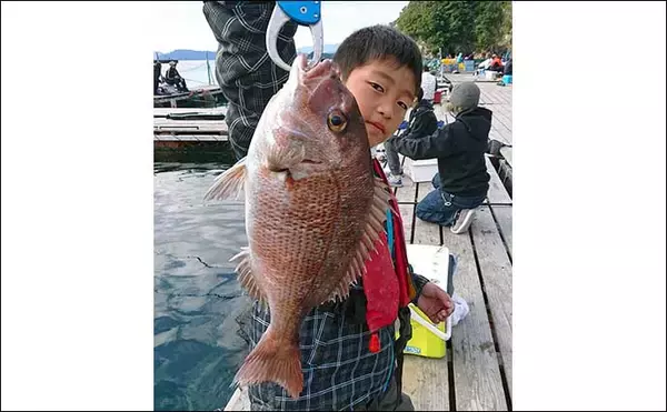 「貸し切り「海上釣り堀」を仲間と満喫　マダイにシマアジにワラサ」の画像