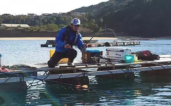 「貸し切り「海上釣り堀」を仲間と満喫　マダイにシマアジにワラサ」の画像