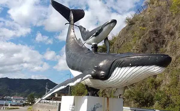 「『釣りバカップ』が高知県で開催　老若男女の「釣りバカ」が大集合？」の画像