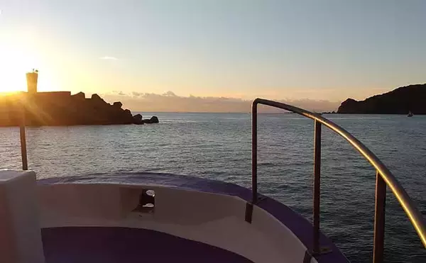 「『釣りバカップ』が高知県で開催　老若男女の「釣りバカ」が大集合？」の画像