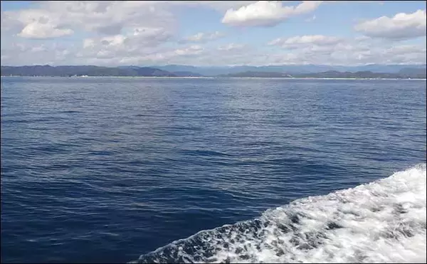 「『釣りバカップ』が高知県で開催　老若男女の「釣りバカ」が大集合？」の画像