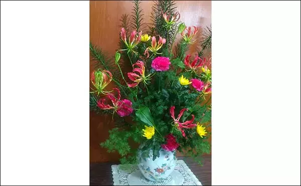 「『釣りバカップ』が高知県で開催　老若男女の「釣りバカ」が大集合？」の画像