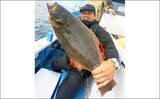 「【三重・愛知】沖のエサ釣り最新釣果　泳がせ釣りで良型ヒラメが好調」の画像7