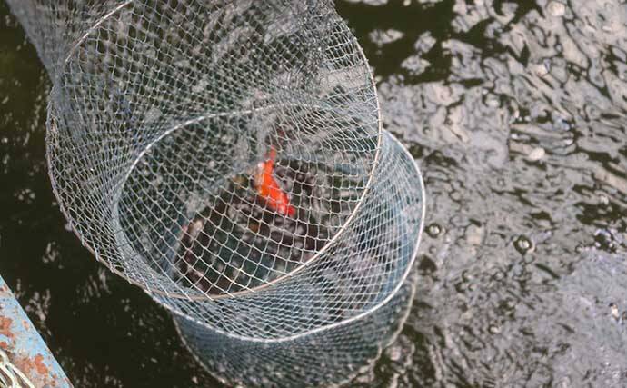 室内釣り堀で鯉 金魚キャッチ 楽しみながら釣りのスキルアップにも 21年11月24日 エキサイトニュース 2 3