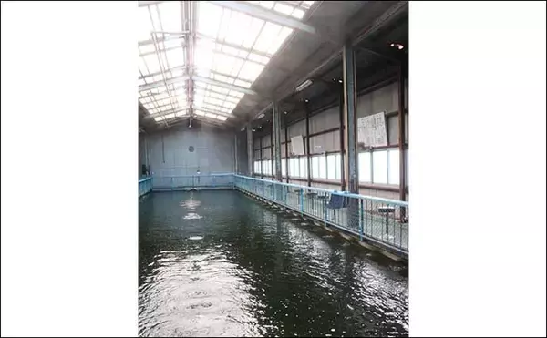 「室内釣り堀で鯉＆金魚キャッチ　楽しみながら釣りのスキルアップにも？」の画像