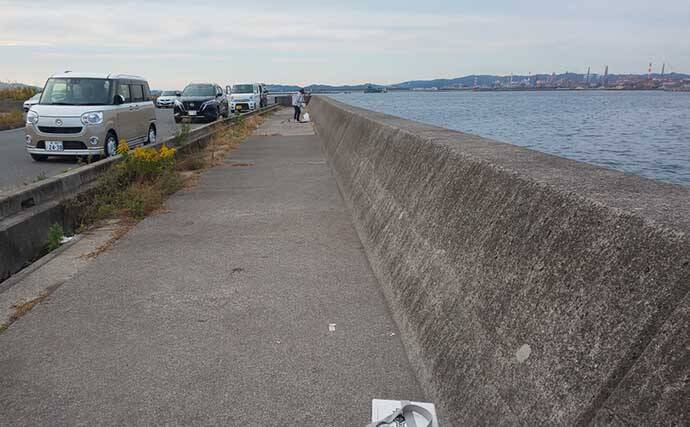 陸っぱりタチウオゲームで75cm頭に複数キャッチ　スローワインドにヒット