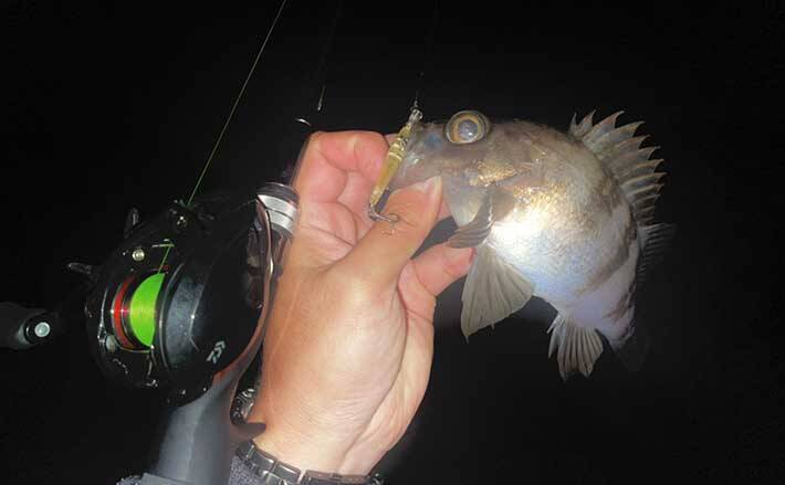 今さら聞けないメバリングのキホン リールの タイプ サイズ ギア比 21年11月26日 エキサイトニュース