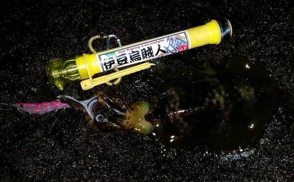 冬エギング ステップアップ解説 釣れるポイントは 水温 で見極め 21年11月27日 エキサイトニュース 冬エギング ステップアップ解説 釣れるポイントは 水温 で見極め 21年11月27日 エキサイトニュース