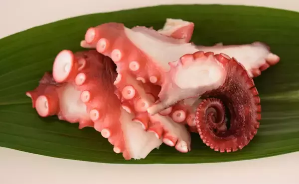 「フランスでタコが記録的豊漁　あまり喜ばれていないワケとは？」の画像