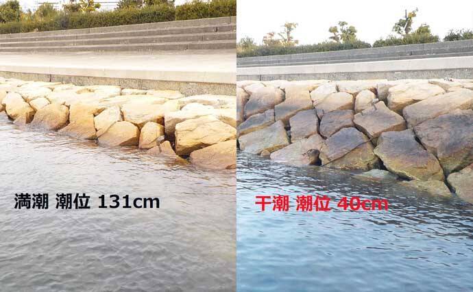 『釣れる日』を過去の快釣日から予測する方法　新暦と旧暦の変換がキモ