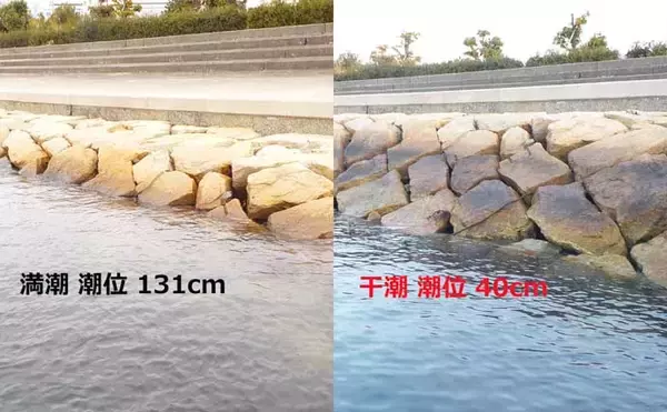 「『釣れる日』を過去の快釣日から予測する方法　新暦と旧暦の変換がキモ」の画像