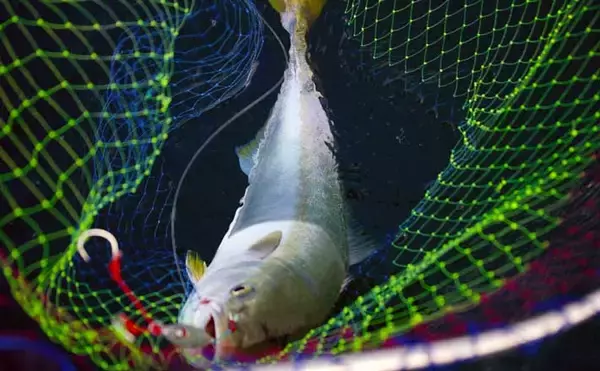 『釣れる日』を過去の快釣日から予測する方法　新暦と旧暦の変換がキモ