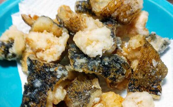 ゲスト魚レシピ ウツボ の唐揚げ 女子向けの理由はコラーゲン 21年12月8日 エキサイトニュース