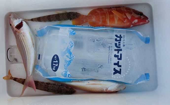 夫婦でボート五目釣り堪能　フグに苦戦も海上カップラーメンが癒しに？