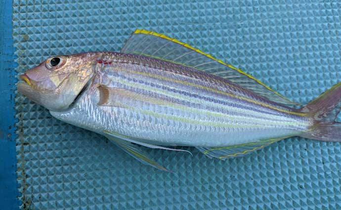 夫婦でボート五目釣り堪能　フグに苦戦も海上カップラーメンが癒しに？