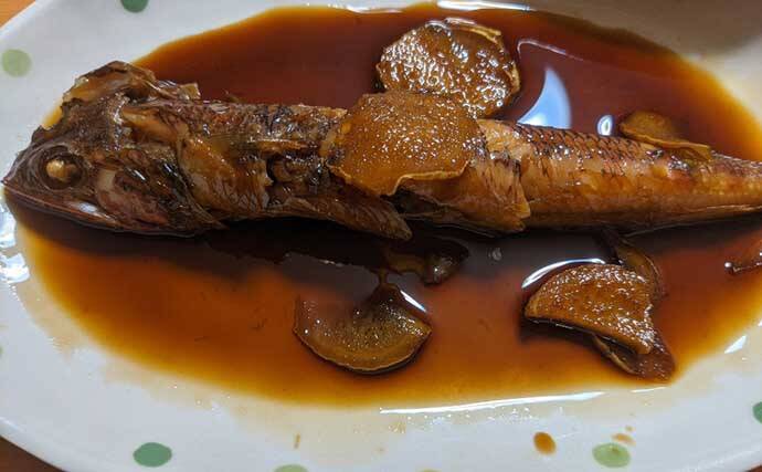 夫婦でボート五目釣り堪能　フグに苦戦も海上カップラーメンが癒しに？