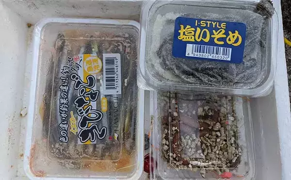 「堤防での穴釣りで3種類のエサを実釣比較　塩イソメは一番のワケとは？」の画像