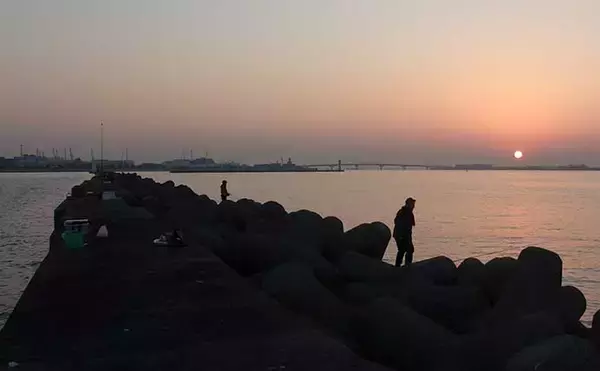 「沖堤防での投げサビキ釣りで大サバ＆良型アジ共演　遠投が的中？」の画像