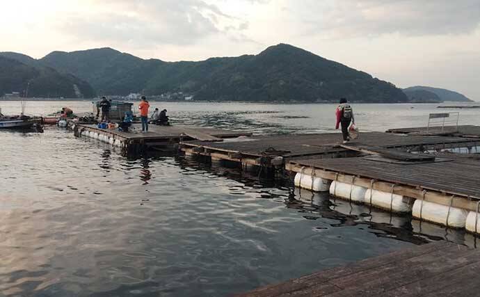 初の筏釣りで非日常感にテンションアップ 水中動画はまるで水族館 21年12月17日 エキサイトニュース