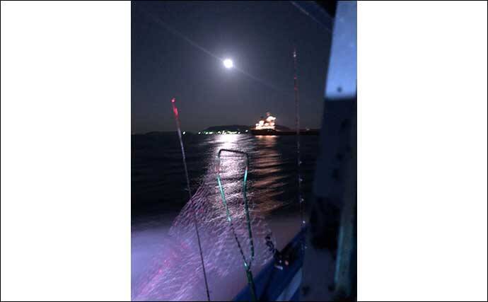 落とし込み釣りで初心者がヒラマサに大ヒラメ　エサ付けパターンを考察