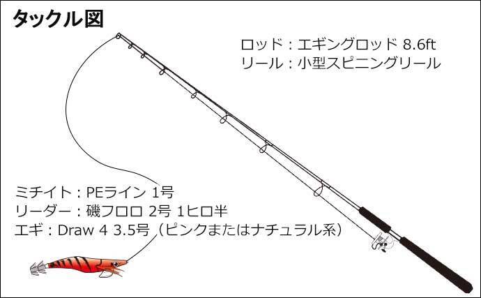 陸っぱりミズイカエギングで800g頭に3尾手中 好ゲストにコウイカも 21年12月21日 エキサイトニュース