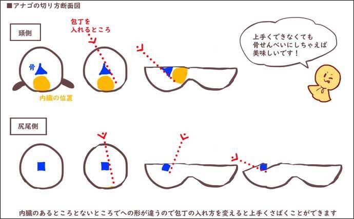 釣ったアナゴの下処理方法とおすすめレシピ3選 粘膜と血に毒あり 21年12月23日 エキサイトニュース 2 4