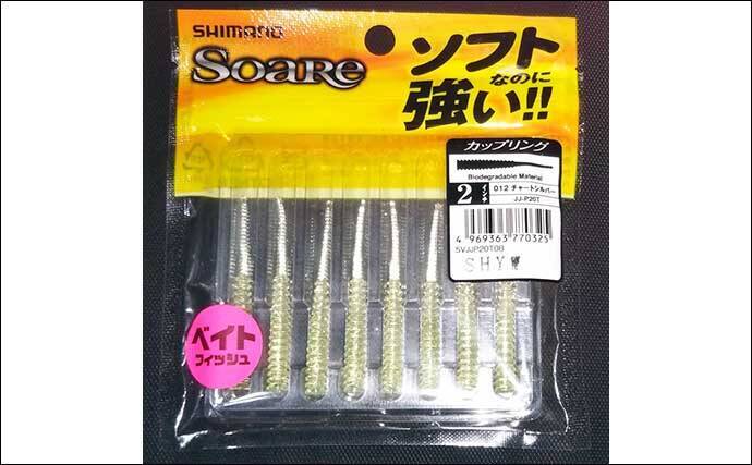 【1000円以下のおすすめシーバスルアー3選】　値段と釣果は比例しない？