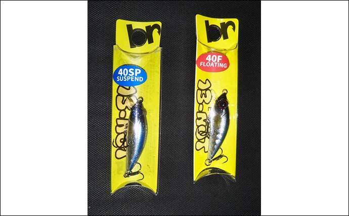 【1000円以下のおすすめシーバスルアー3選】　値段と釣果は比例しない？