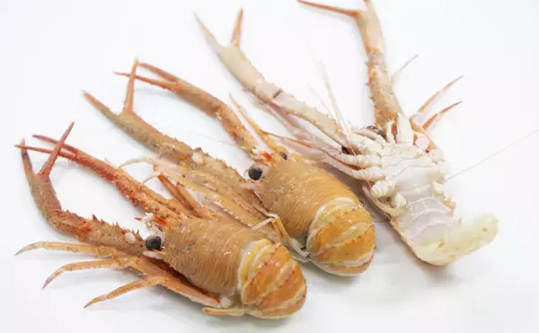 「おせち料理のエビは腰が曲がってる程縁起が良い　深海エビがオススメ？」の画像