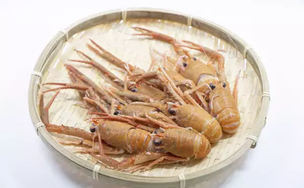 「おせち料理のエビは腰が曲がってる程縁起が良い　深海エビがオススメ？」の画像